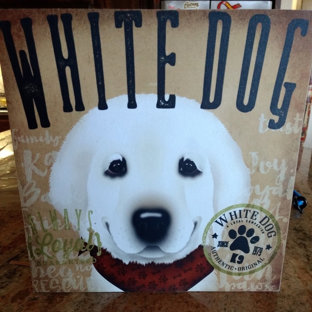 Demdaco * Stephen Fowler's collection Dogs Rock